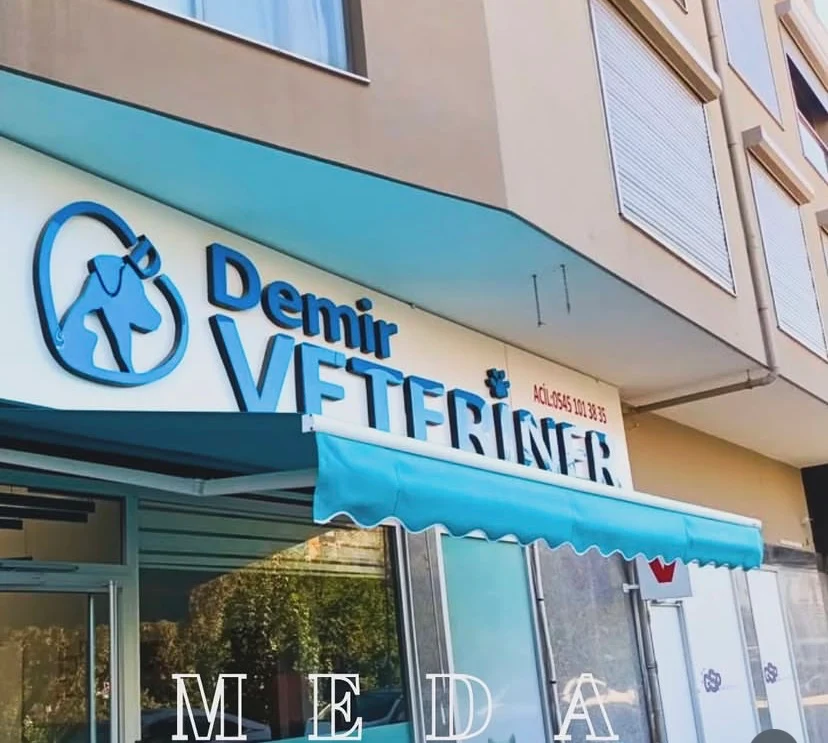 İzmir Bornova veteriner mafsallı tente projesi